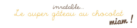 Les gâteau au chocolat